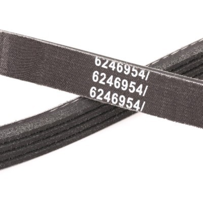 Keilrippenriemen RIDEX 305P0167P 305P0167P - foto 5