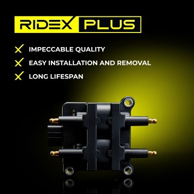 Zündspule RIDEX 689C0106P 689C0106P - foto 12