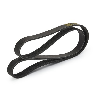 Keilrippenriemen RIDEX 305P0114P 305P0114P - foto 4