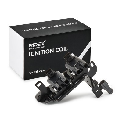 Zündspule RIDEX 689C0099 689C0099 - foto 2