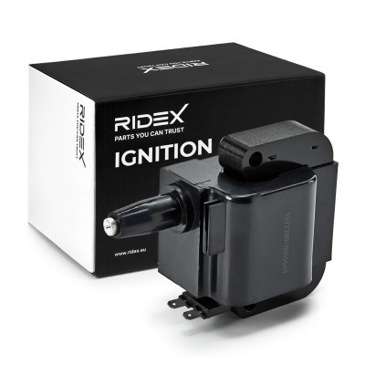 Zündspule RIDEX 689C0117 689C0117 - foto 2