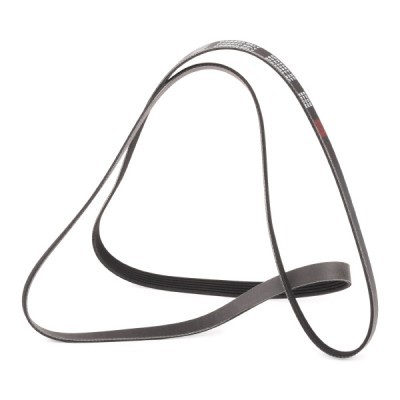 Keilrippenriemen RIDEX 305P0216P 305P0216P - foto 4