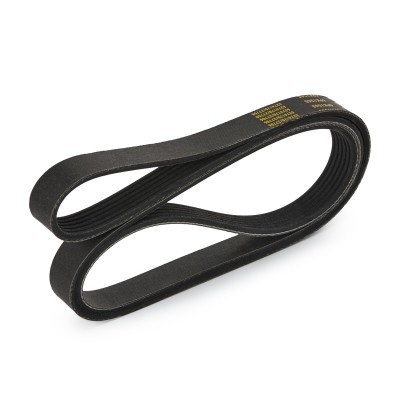 Keilrippenriemen RIDEX 305P0173P 305P0173P - foto 4