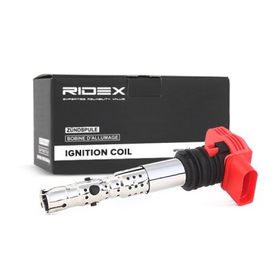 Zündspule RIDEX 689C0025 689C0025 - foto 3