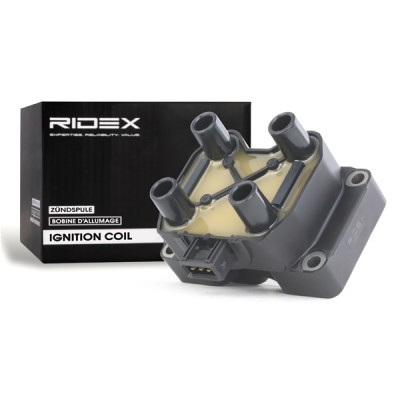 Zündspule RIDEX 689C0053 689C0053 - foto 4