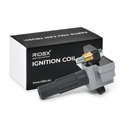 Zündspule RIDEX 689C0238 689C0238 - foto 2