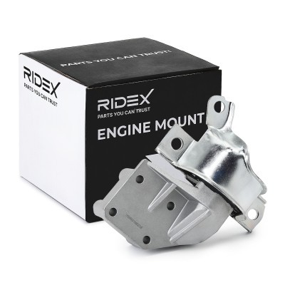 Motoraufhängung RIDEX 247E0700 247E0700 - foto 2