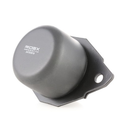 Motoraufhängung RIDEX 247E0019 247E0019 - foto 3