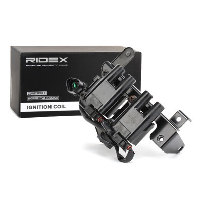 Zündspule RIDEX 689C0109 689C0109 - foto 3