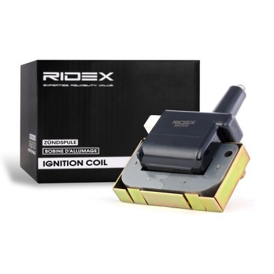 Zündspule RIDEX 689C0038 689C0038 - foto 2