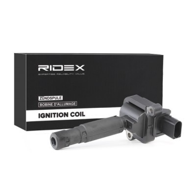 Zündspule RIDEX 689C0233 689C0233 - foto 2