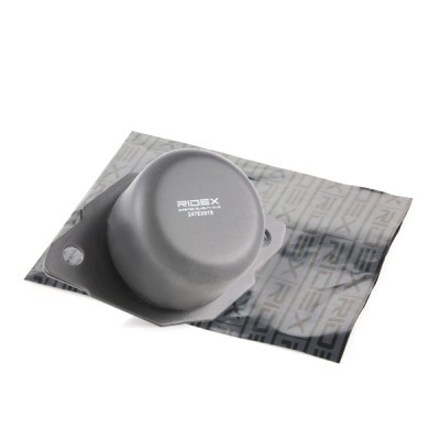 Motoraufhängung RIDEX 247E0019 247E0019 - foto 2