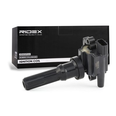 Zündspule RIDEX 689C0049 689C0049 - foto 3