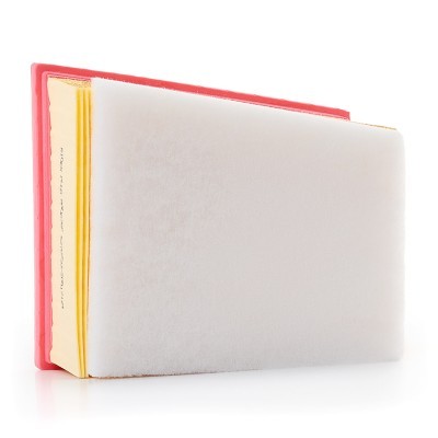 Luftfilter RIDEX 8A0676P 8A0676P - foto 4