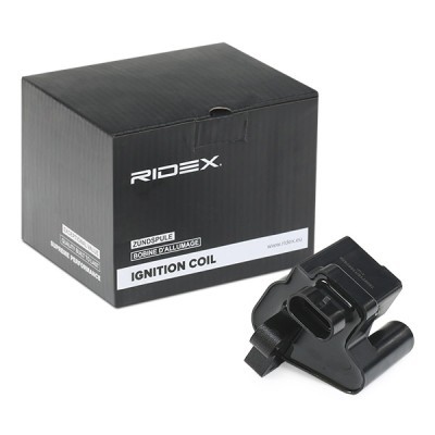 Zündspule RIDEX 689C0350 689C0350 - foto 2