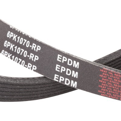 Keilrippenriemen RIDEX 305P0056P 305P0056P - foto 5