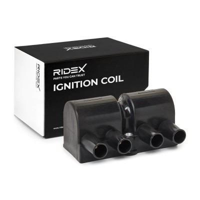 Zündspule RIDEX 689C0066 689C0066 - foto 2