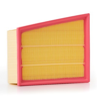 Luftfilter RIDEX 8A0676P 8A0676P - foto 3