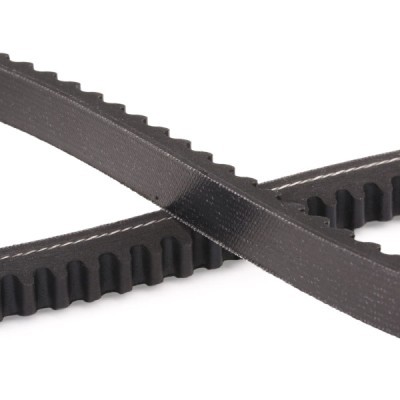 Keilriemen RIDEX 10C0027P 10C0027P - foto 5