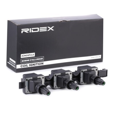 Zündspule RIDEX 689C0244 689C0244 - foto 3