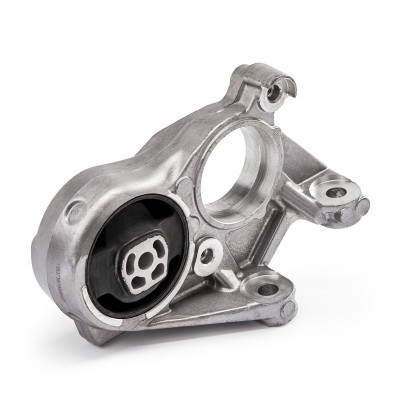 Motoraufhängung RIDEX 247E0986 247E0986 - foto 3
