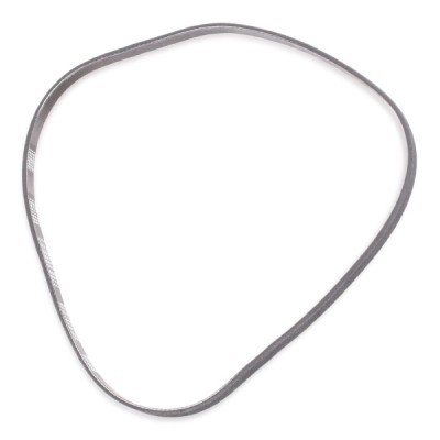 Keilrippenriemen RIDEX 305P0054P 305P0054P - foto 4