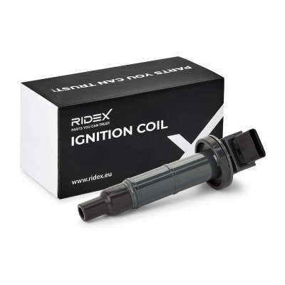 Zündspule RIDEX 689C0098 689C0098 - foto 2