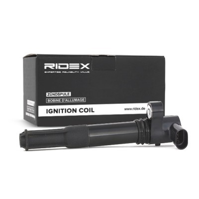 Zündspule RIDEX 689C0009 689C0009 - foto 3