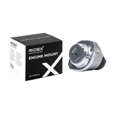 Motoraufhängung RIDEX 247E0377 247E0377 - foto 2