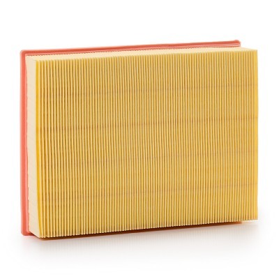 Luftfilter RIDEX 8A0025P 8A0025P - foto 4