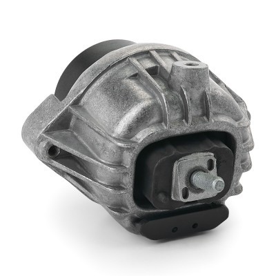 Motoraufhängung RIDEX 247E0443 247E0443 - foto 3