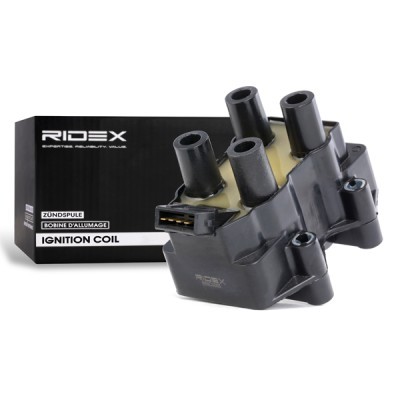 Zündspule RIDEX 689C0065 689C0065 - foto 2