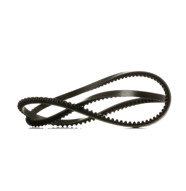 Keilriemen RIDEX 10C0117P 10C0117P - foto 1