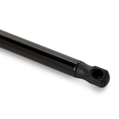 Gasfeder, Koffer-/Laderaum RIDEX 2454G0012 2454G0012 - foto 5