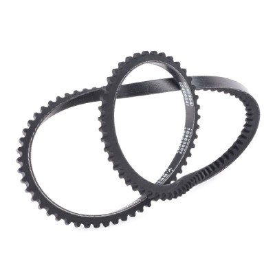 Keilriemen RIDEX 10C0105P 10C0105P - foto 3