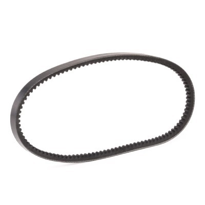 Keilriemen RIDEX 10C0082P 10C0082P - foto 3