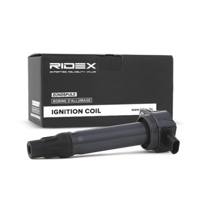Zündspule RIDEX 689C0169 689C0169 - foto 3