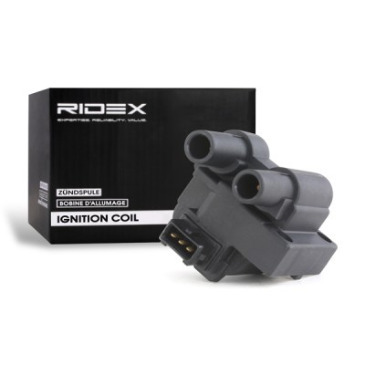 Zündspule RIDEX 689C0155 689C0155 - foto 4