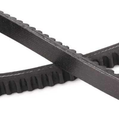 Keilriemen RIDEX 10C0036P 10C0036P - foto 5