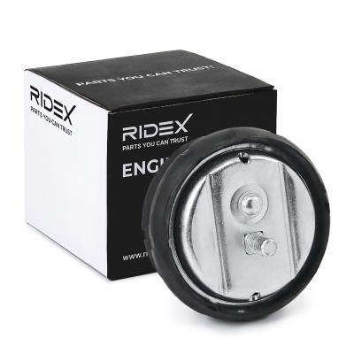 Motoraufhängung RIDEX 247E0076 247E0076 - foto 2