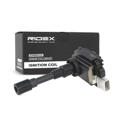 Zündspule RIDEX 689C0039 689C0039 - foto 3