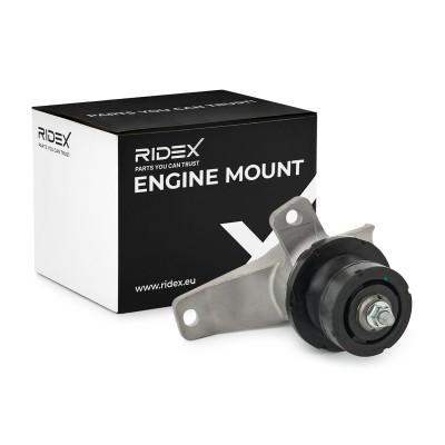 Motoraufhängung RIDEX 247E0572 247E0572 - foto 2