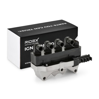 Zündspule RIDEX 689C0075 689C0075 - foto 2