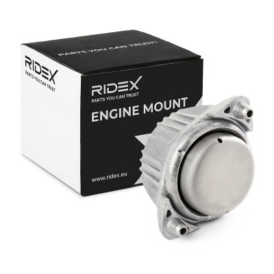 Motoraufhängung RIDEX 247E0108 247E0108 - foto 2
