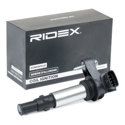 Zündspule RIDEX 689C0018 689C0018 - foto 2