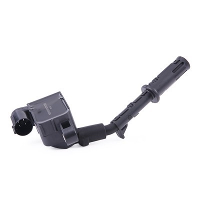 Zündspule RIDEX 689C0391 689C0391 - foto 3