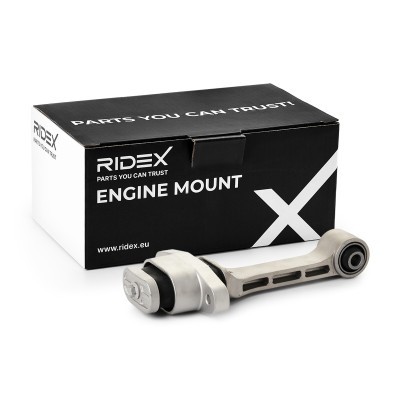 Motoraufhängung RIDEX 247E1054 247E1054 - foto 2