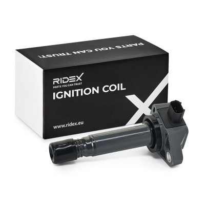 Zündspule RIDEX 689C0189 689C0189 - foto 2