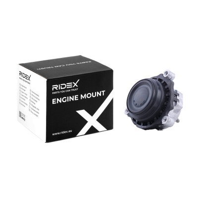 Motoraufhängung RIDEX 247E0542 247E0542 - foto 2