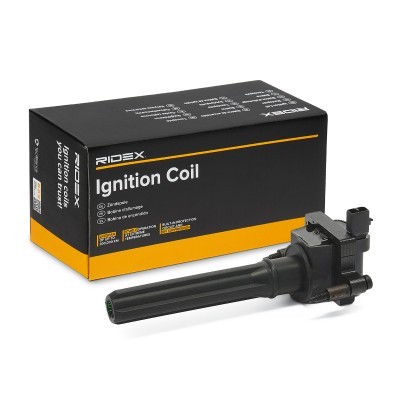Zündspule RIDEX 689C0458 689C0458 - foto 2